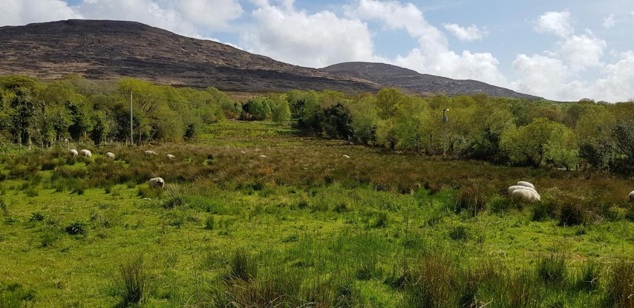 Mountain View Bed & Breakfast, Kenmare, Co. Kerry, Ireland Exterior foto